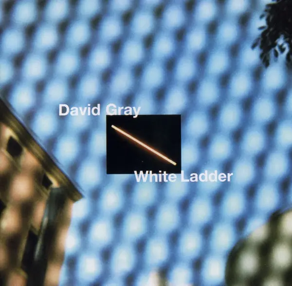 David Gray