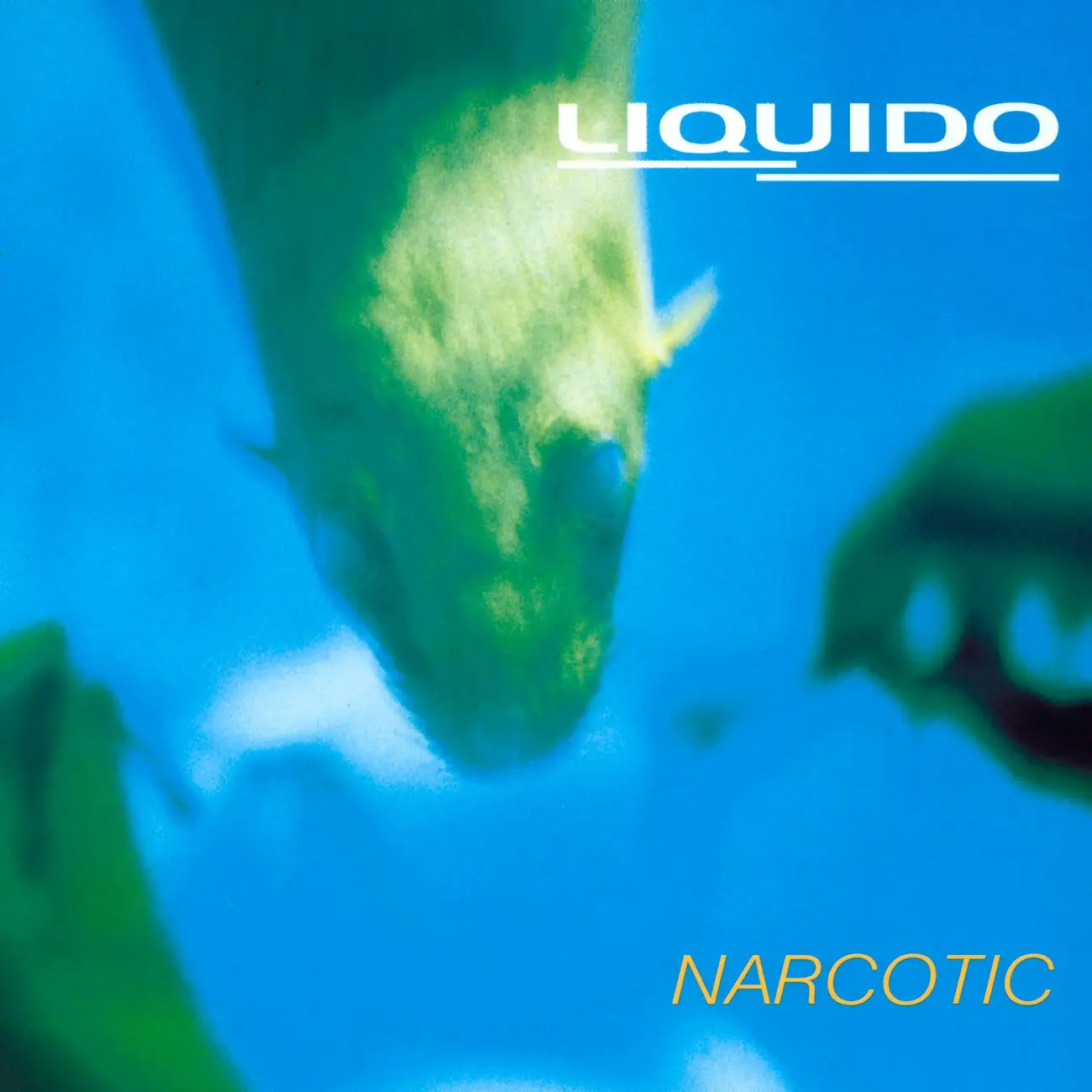 Liquido