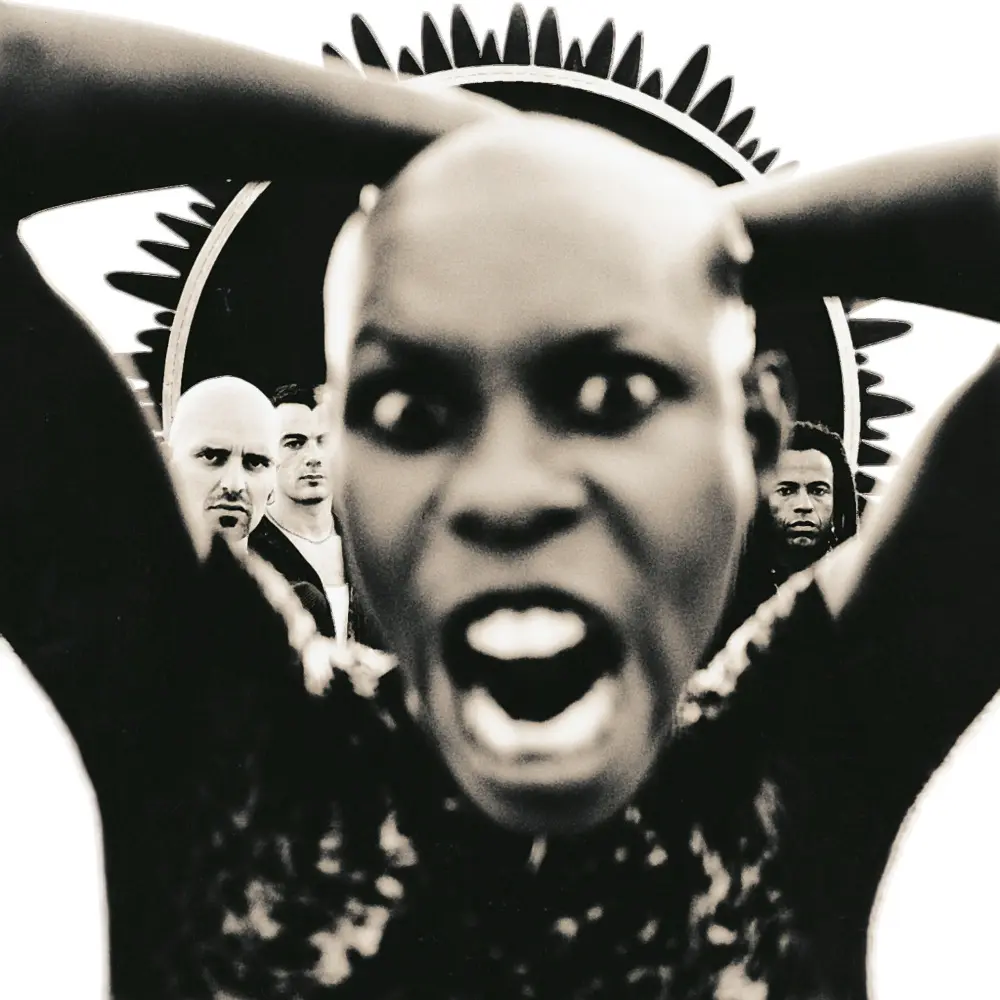 Skunk Anansie